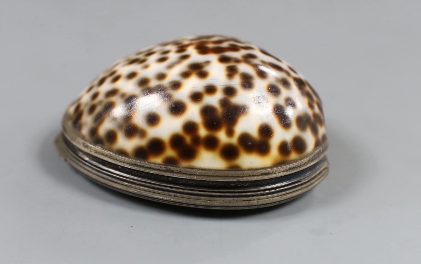 A late 18th/early 19th century white metal mounted cowrie shell snuff box, maker's mark only EC, 71mm.